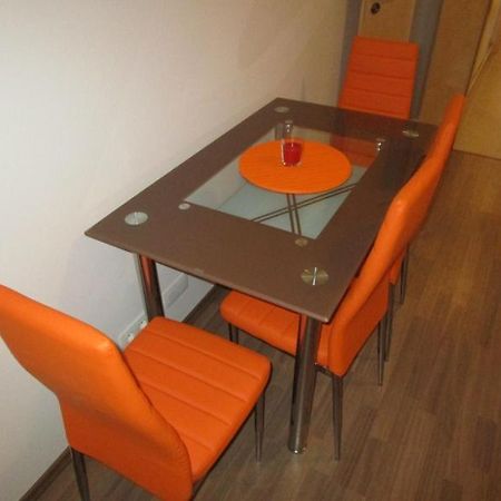 Apartman Ricky V Orlickych Horach Wüstenei Exterior photo