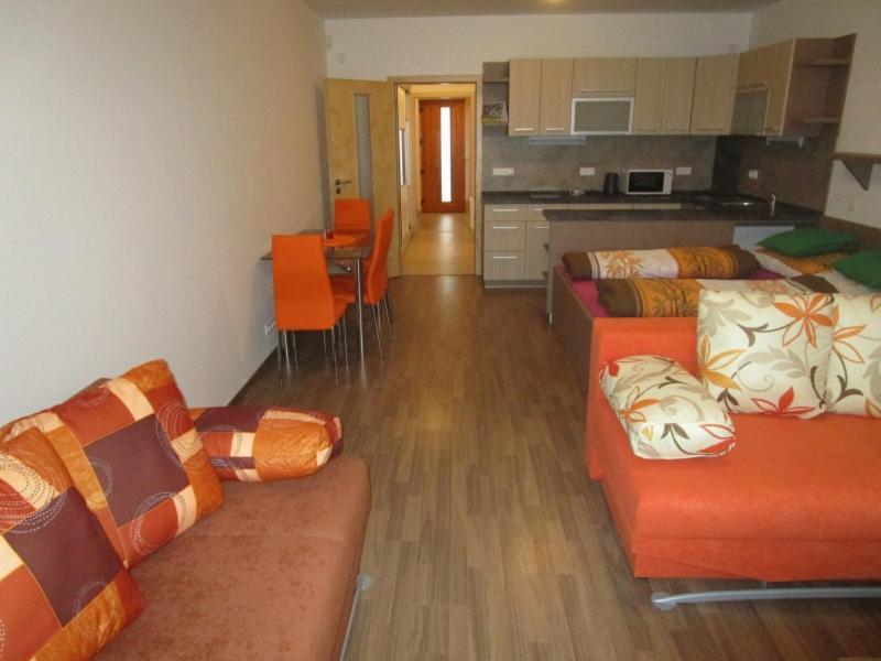 Apartman Ricky V Orlickych Horach Wüstenei Exterior photo