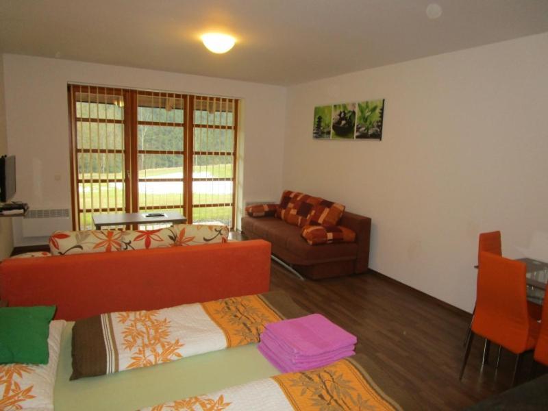 Apartman Ricky V Orlickych Horach Wüstenei Exterior photo