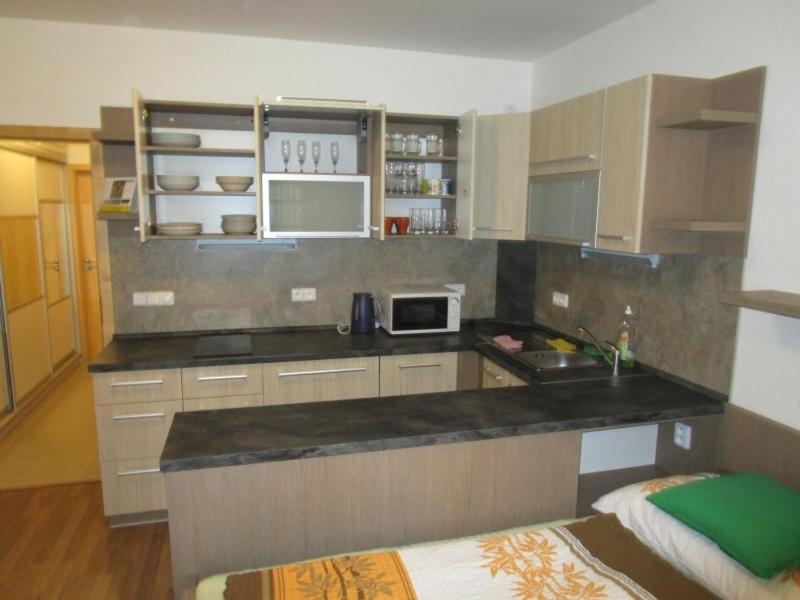 Apartman Ricky V Orlickych Horach Wüstenei Exterior photo