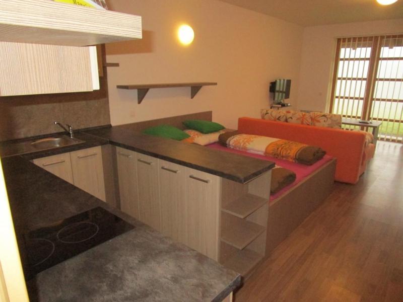 Apartman Ricky V Orlickych Horach Wüstenei Exterior photo