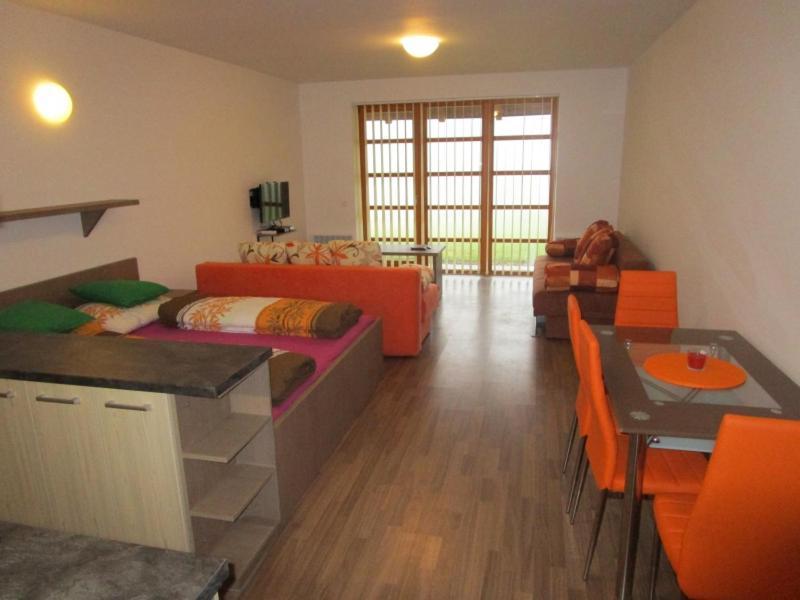 Apartman Ricky V Orlickych Horach Wüstenei Exterior photo