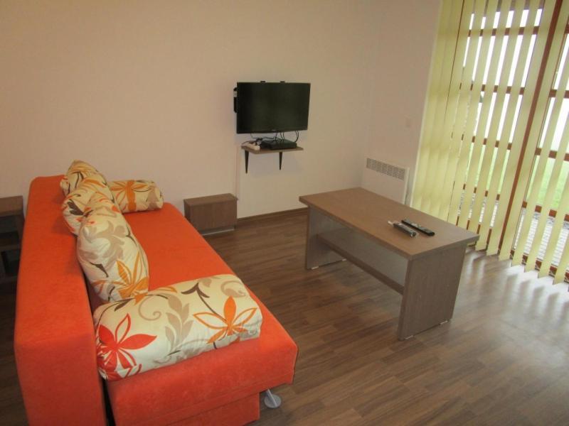 Apartman Ricky V Orlickych Horach Wüstenei Exterior photo
