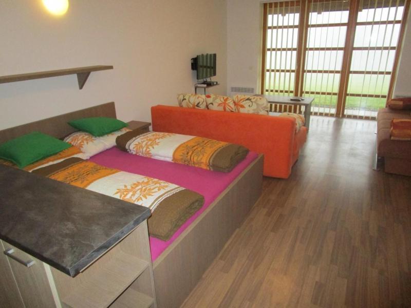 Apartman Ricky V Orlickych Horach Wüstenei Exterior photo